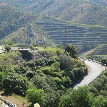 Hi Foz Coa - Pousada De Juventude Vila Nova de Foz Côa Eksteriør billede